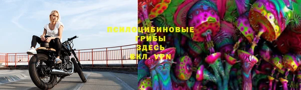 прущие грибы Инсар