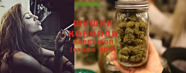 прущие грибы Инсар