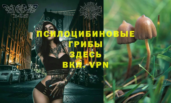 спиды Инта