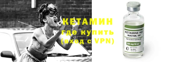 прущие грибы Инсар