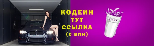 спиды Инта
