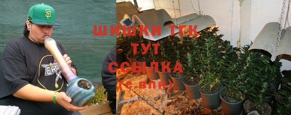 прущие грибы Инсар