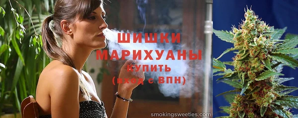 прущие грибы Инсар