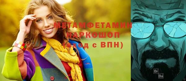 прущие грибы Инсар