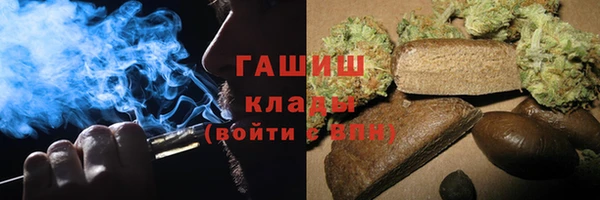 прущие грибы Инсар