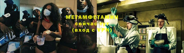 прущие грибы Инсар